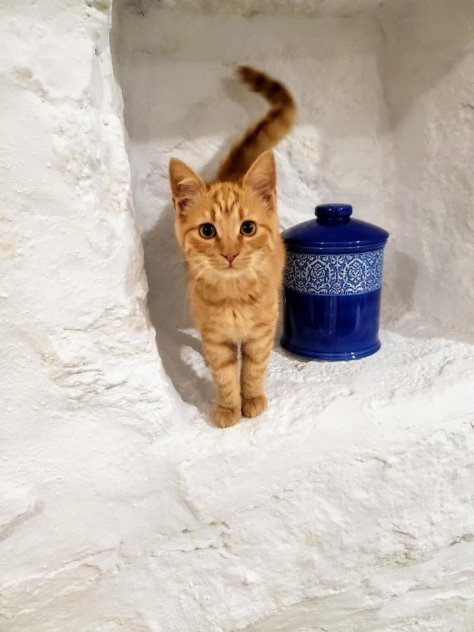 Sugar Blue Apartment Mykonos Town Exterior photo